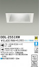 DAIKO Ǯ饤 DDL-2551XW