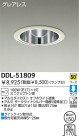 DAIKO Ǯ饤 DDL-51809