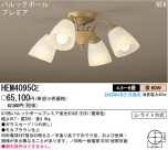 ѥʥ˥åŹ PANASONIC ǥꥢ HEM4095CE