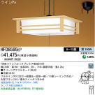 ѥʥ˥åŹ PANASONIC ڥ HFD8595EP