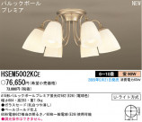 ѥʥ˥åŹ PANASONIC ǥꥢ HSEM5002KCE