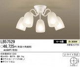 ѥʥ˥åŹ PANASONIC ǥꥢ LB57529