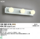 ODELIC ǥå ֥饱å OB080619L