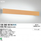 ODELIC �����ǥ�å� �֥饱�å� OB080951N