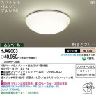 PANASONIC �ѥʥ��˥å��Ź� ������󥰥饤�� HJA9003