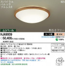 PANASONIC �ѥʥ��˥å��Ź� ������󥰥饤�� HJA9009