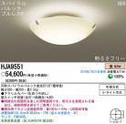 PANASONIC �ѥʥ��˥å��Ź� ������󥰥饤�� HJA9551