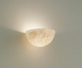 ƣ ENDO ֥饱å EB-2119X