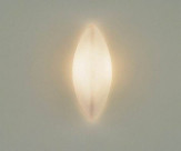 ƣ ENDO ֥饱å EB-2215M