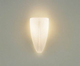 ƣ ENDO ֥饱å EB-2216M