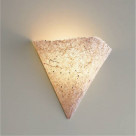 ƣ ENDO ֥饱å EB-2262N