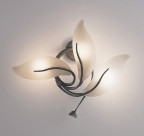 ƣ ENDO ֥饱å EB-2318X