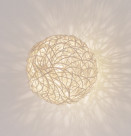 ƣ ENDO ֥饱å EB-2570N