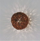 ƣ ENDO ֥饱å EB-2570X