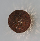 ƣ ENDO ֥饱å EB-2571X