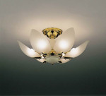 ƣ ENDO ǥꥢ EC-2054K