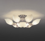 ƣ ENDO ǥꥢ EC-2080S