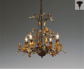 ƣ ENDO ǥꥢ EC-2142X