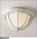 ޥå쥤 MAXRAY ȥɥ MB5442-01