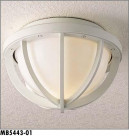 ޥå쥤 MAXRAY ȥɥ MB5443-01