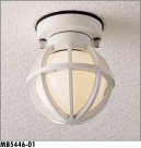 ޥå쥤 MAXRAY ȥɥ MB5446-01