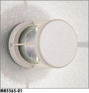 ޥå쥤 MAXRAY ȥɥ MB5565-01