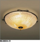 ޥå쥤 MAXRAY  ML30024-21