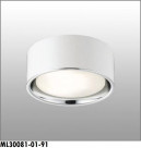 ޥå쥤 MAXRAY  ML30081-01-91