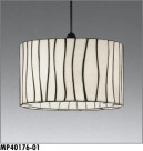 ޥå쥤 MAXRAY ڥ MP40176-01