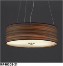 ޥå쥤 MAXRAY ڥ MP40308-21