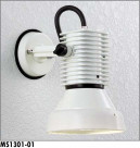 ޥå쥤 MAXRAY ȥɥ MS1301-01