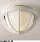 ޥå쥤 MAXRAY ȥɥ MB5443-01-91