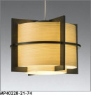 ޥå쥤 MAXRAY ڥ MP40228-21-74