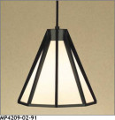 �ޥå����쥤 MAXRAY �ڥ����� MP4209-02-91