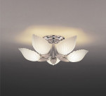 ƣ ENDO ǥꥢ EC-2079SA