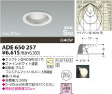 KOIZUMI �ⵤ̩������饤�� ADE650257