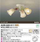 KOIZUMI ָ AHN600011