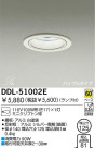 DAIKO  ŵ 饤 DDL-51002E
