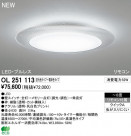 ODELIC ǥå LED 󥰥饤 OL251113