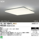 ODELIC ǥå LED 󥰥饤 OL251604TL