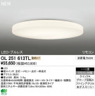 ODELIC ǥå LED 󥰥饤 OL251613TL