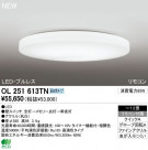 ODELIC ǥå LED 󥰥饤 OL251613TN