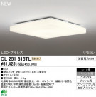 ODELIC ǥå LED 󥰥饤 OL251615TL
