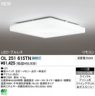 ODELIC ǥå LED 󥰥饤 OL251615TN