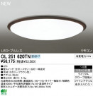 ODELIC �����ǥ�å� LED ������󥰥饤�� OL251620TN