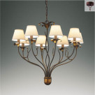 ƣ ENDO LED ǥꥢ ERC2050X