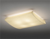 ƣ ENDO LED   ERG5275N