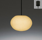 ƣ ENDO LED ڥ  ERP7113N