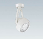 ƣ ENDO LED ݥåȥ饤 ERS3789W
