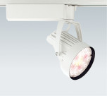 ƣ ENDO LED ݥåȥ饤 ERS3881W